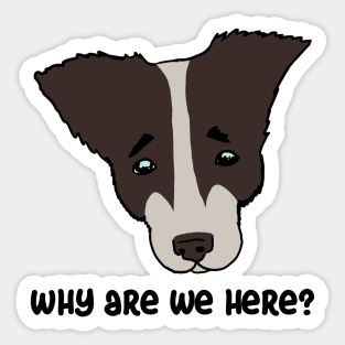 why are we here?. sad dog Sticker